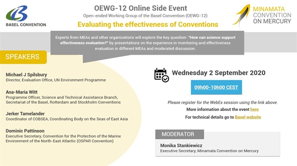 Evento paralelo en línea del GTCA12: Evaluación de la eficacia de las convenciones