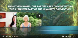 Message vidéo de nos Parties à l'occasion du 3e anniversaire de la Convention de Minamata