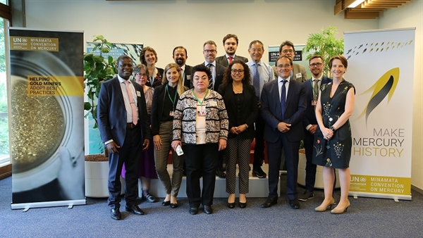 Reunión de la junta directiva del Programa internacional específico, 15-16 de mayo de 2018, Ginebra
