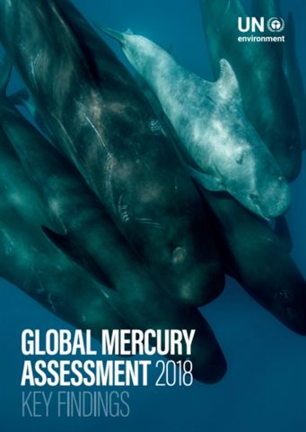 Global Mercury Assessment 2018 - Key Findings