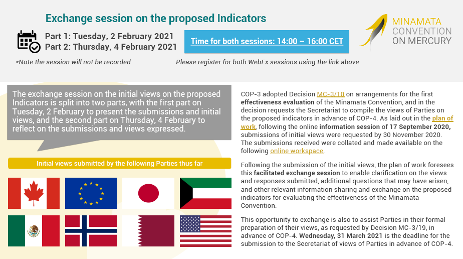 Update on the intersessional work on the proposed indicators for the effectiveness evaluation