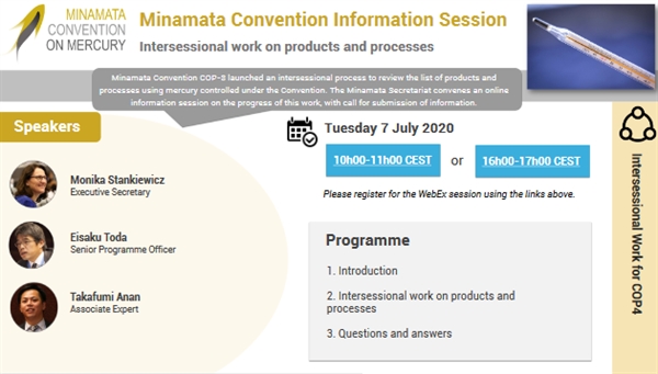 Information session: Intersessional work on products and processes