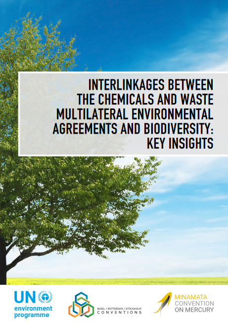 Interlinkages between the chemicals and waste multilateral environmental agreements and biodiversity: Key Insights