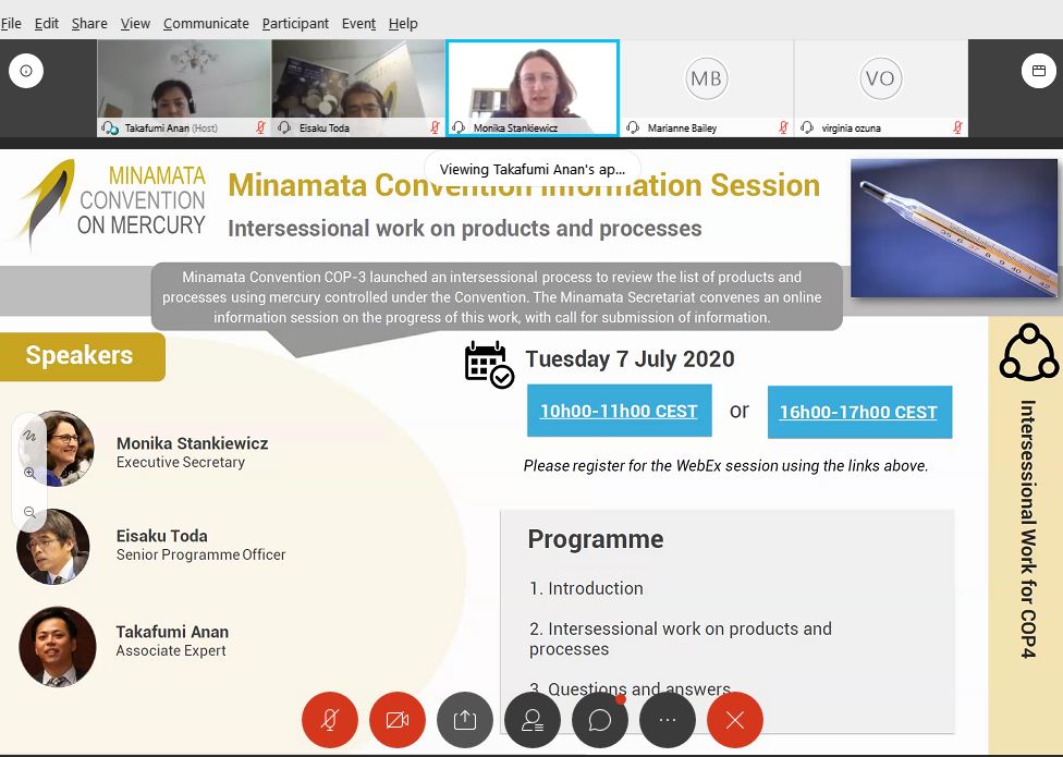 Information session:  Intersessional work on products and processes