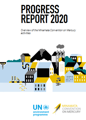 Progress Report 2020 (Documento en inglés)