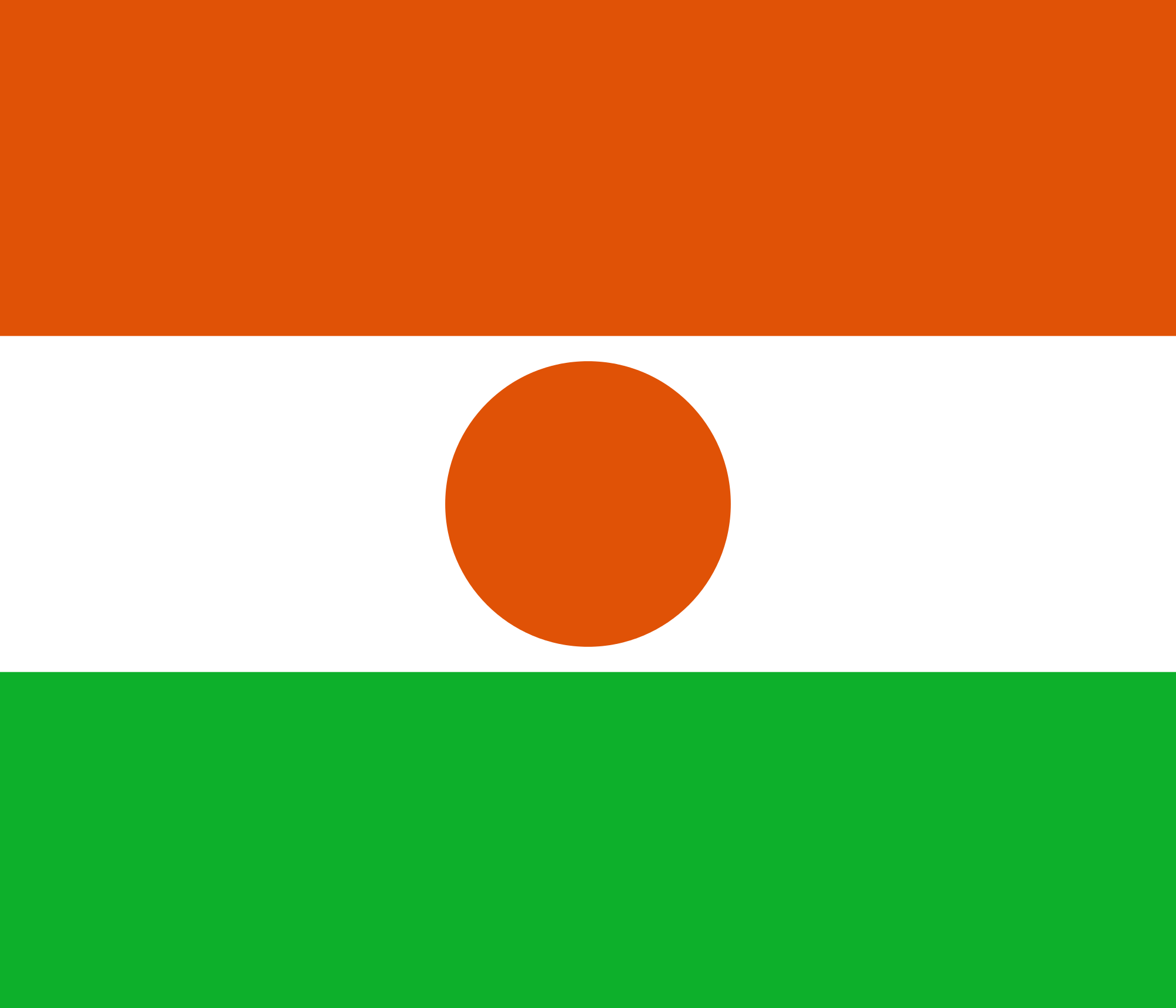 Níger eleva a 56 el número de futuras Partes del Convenio de Minamata