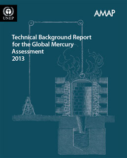 Rapport technique de référence  sur l’Evaluation mondiale du mercure de 2013 (document en anglais)