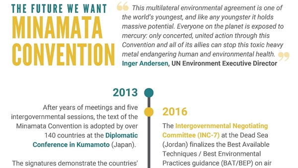 The future we want: a timeline of the Minamata Convention