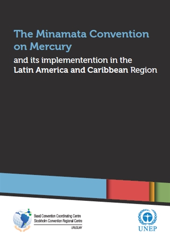 [Brochure] Implementention of the Minamata Convention in the Latin America and Caribbean Region