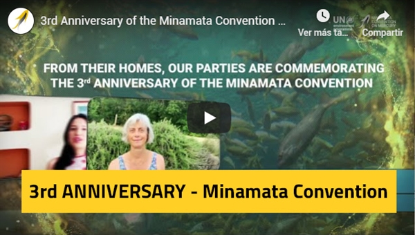 Video message from our Parties on the 3rd Anniversary of the Minamata Convention